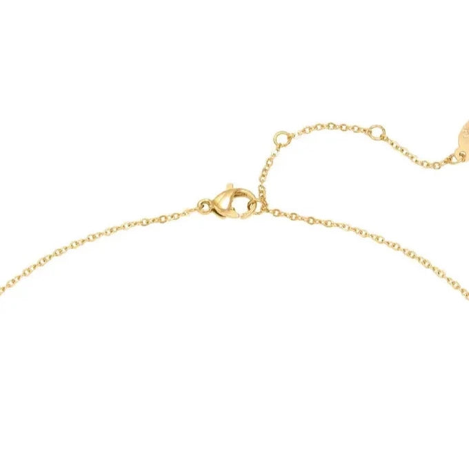 LIV Chain